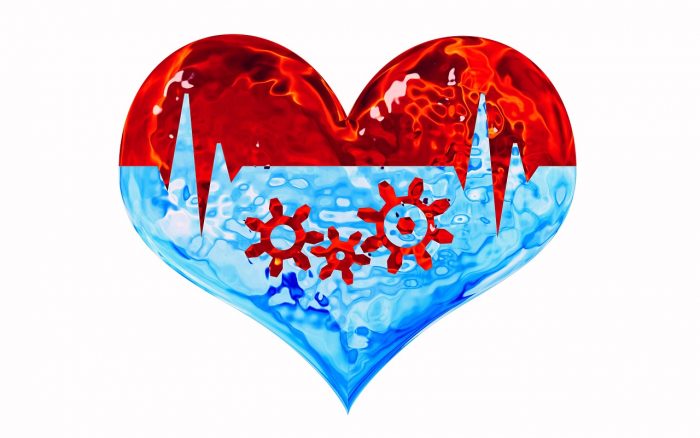 guia-sobre-productos-naturales-para-el-colesterol-y-el-corazon-700x438