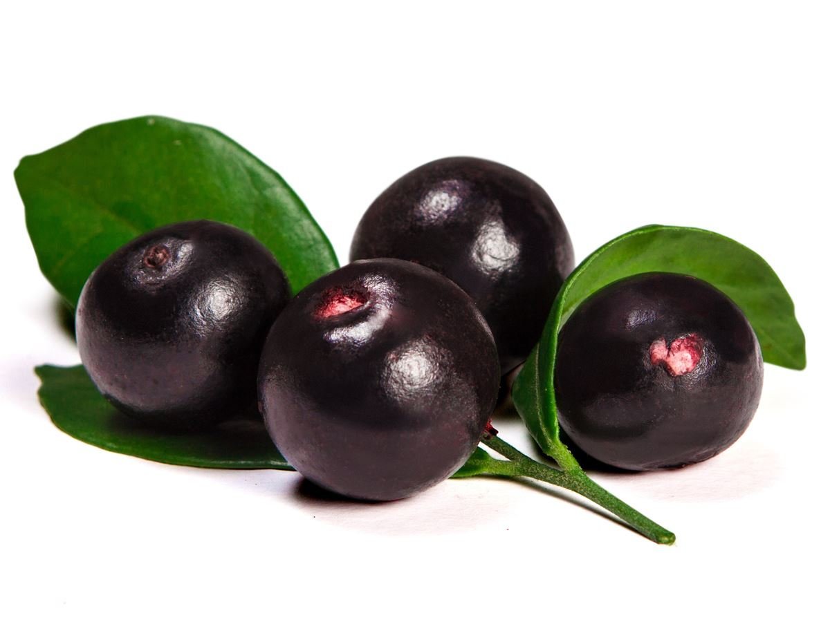 bayas de acai