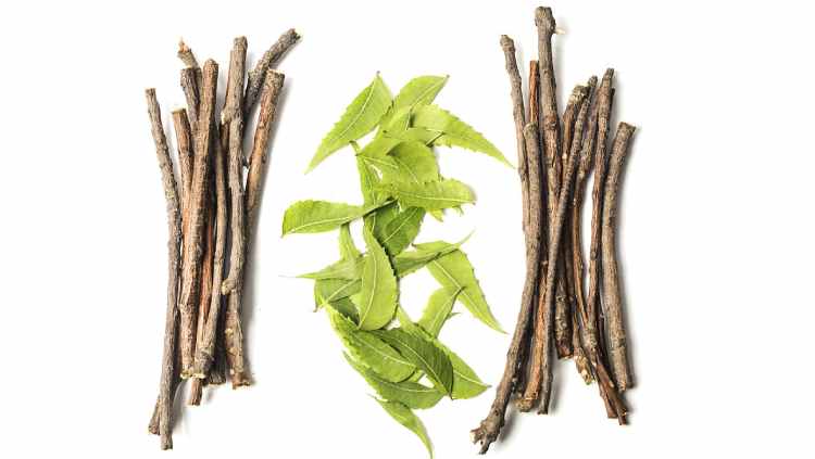 ashwagandha propiedades planta ayurveda