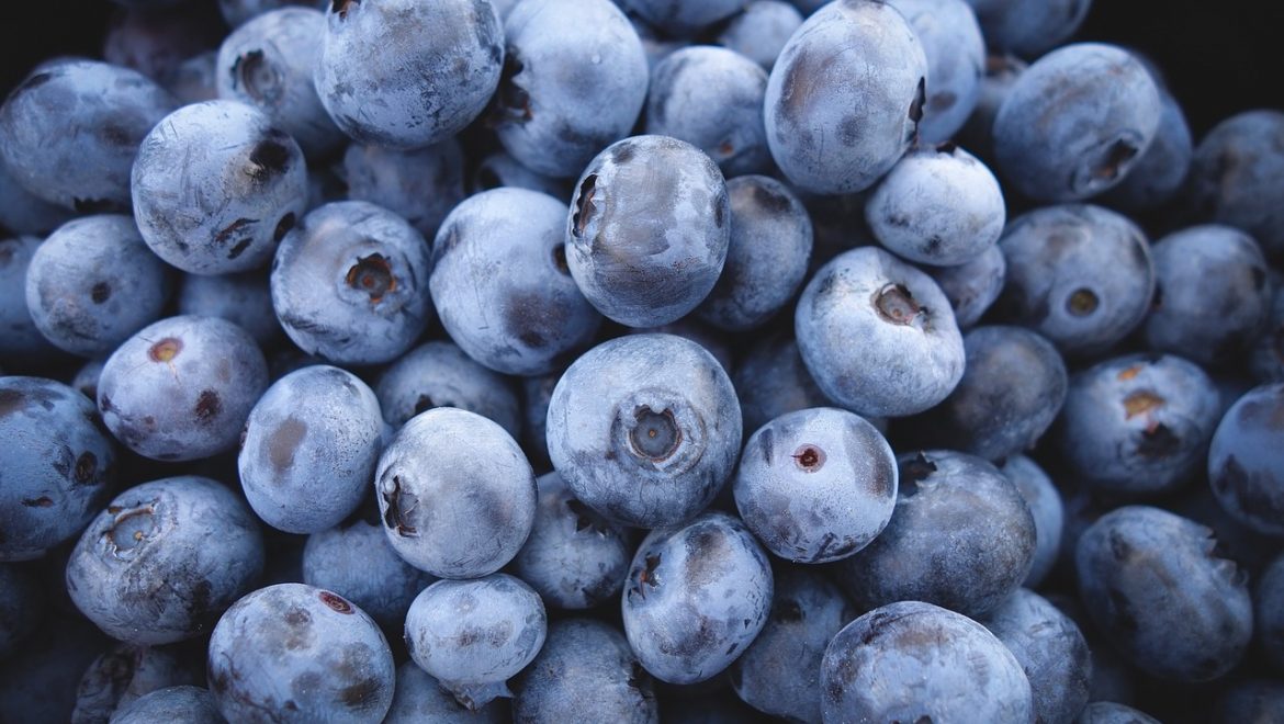 guia sobre antioxidantes naturales