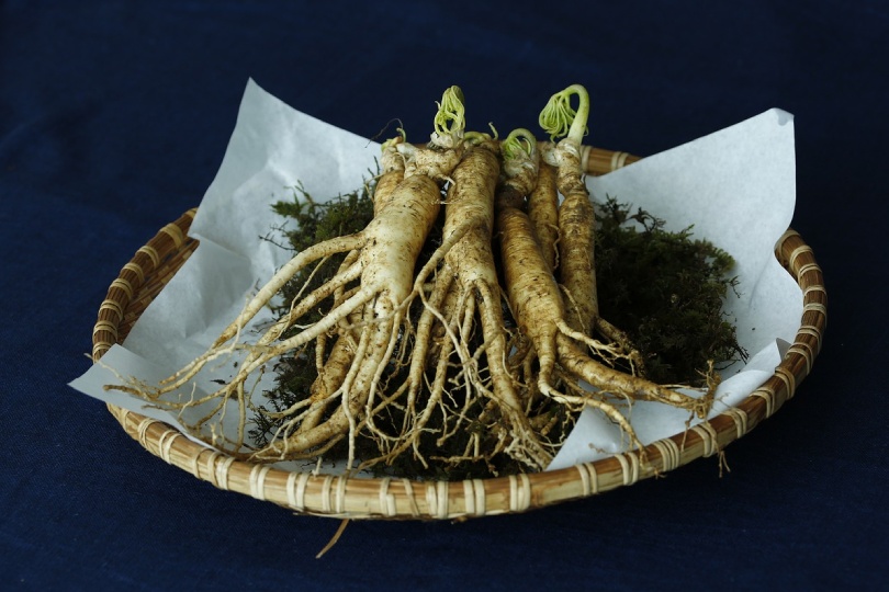 cual es el mejor ginseng