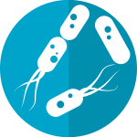 Guia-sobre-los-mejores-probioticos-300x300