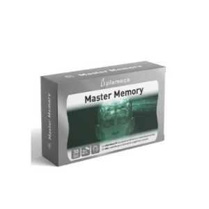 master-memory-plameca-el-buho-verde