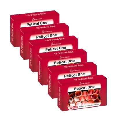 Oferta Policol One Plameca 6 cajas