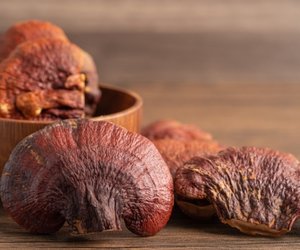 Propiedades y beneficios del Reishi