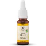 Flor De Bach 3 Haya, Bach Original