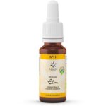 Flor De Bach 11 Olmo, Bach Original