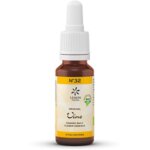 Flor De Bach 32 Vid, Bach Original
