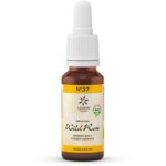 Flor De Bach 37 Rosa Silv., Bach Original
